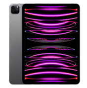 Apple iPad